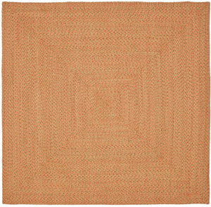 Safavieh Braided BRD166 Area Rug