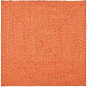 Safavieh Braided BRD168 Area Rug