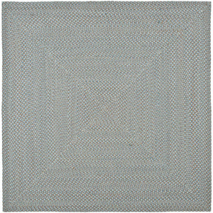 Safavieh Braided BRD170 Area Rug