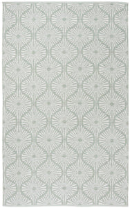 Safavieh Montauk MTK606G Area Rug